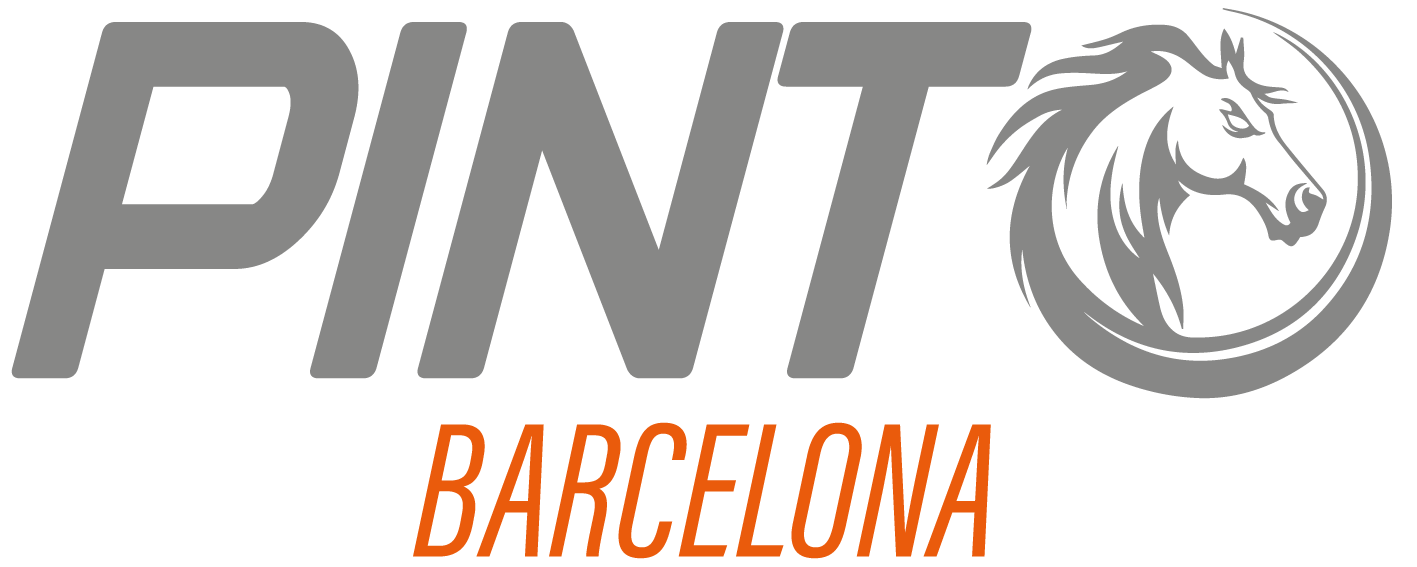 pintobarcelona.com